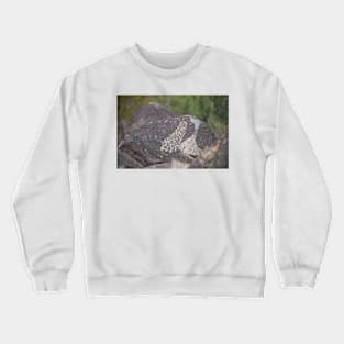 850_8487 Crewneck Sweatshirt